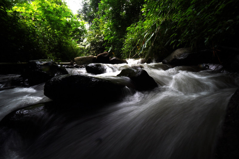 Ecoton Mengawali Ekspedisi Sungai Nusantara dari Gogor